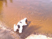 /album/patu/whoo13-327-jpg/